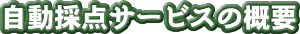 �����̓_�T�[�r�X�̊T�v